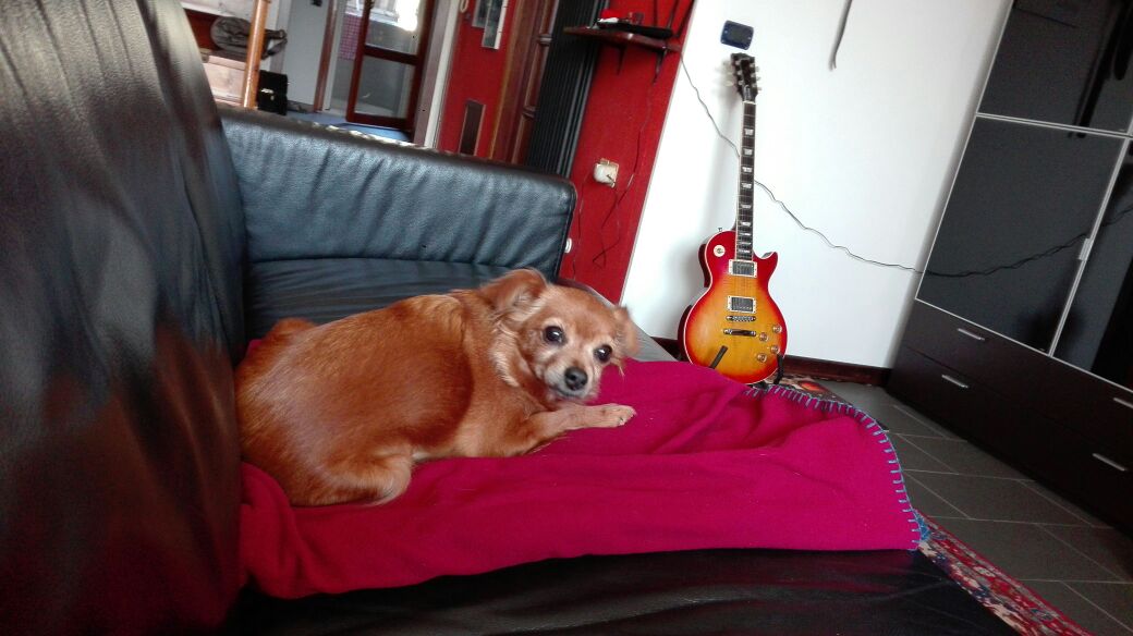 immagine prima pagina